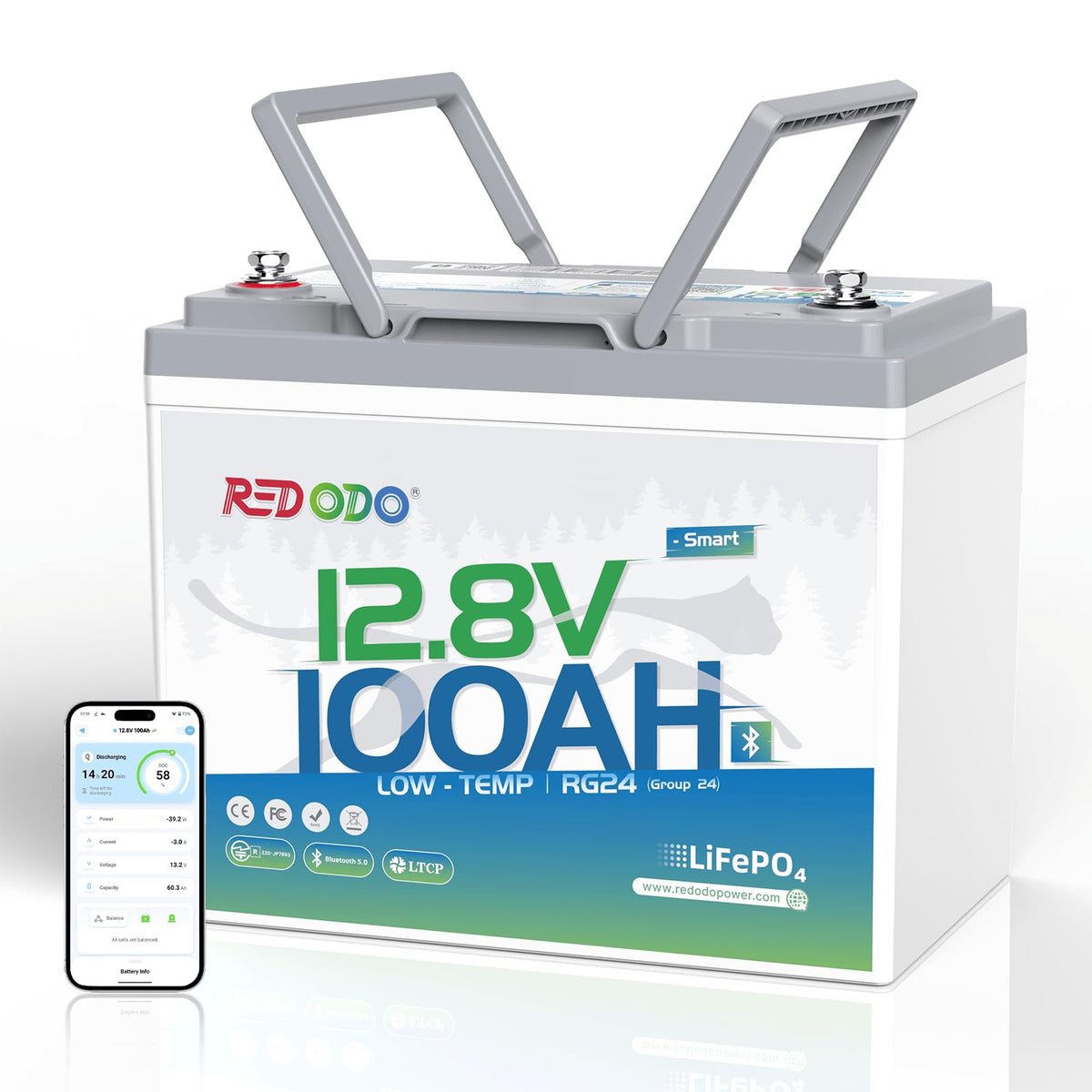 12V 100Ah Group 24 LiFePO4 Lithium Battery M99255