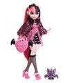 Monster High Doll with Pink & Black Hair P662
