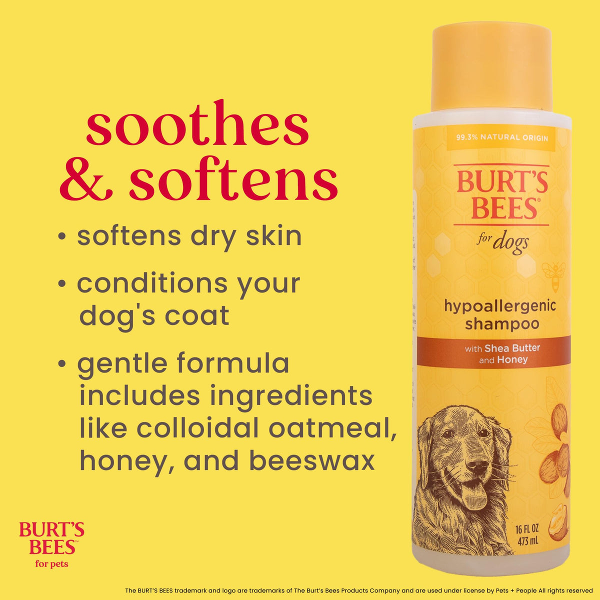 Hypoallergenic Dog Shampoo Shea Butter Honey 16 Fl Oz W7374