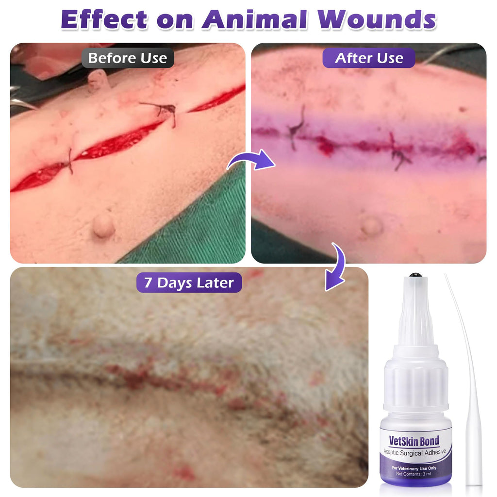 3ml Veterinary Surgical Skin Glue with 10 Applicators Z5511