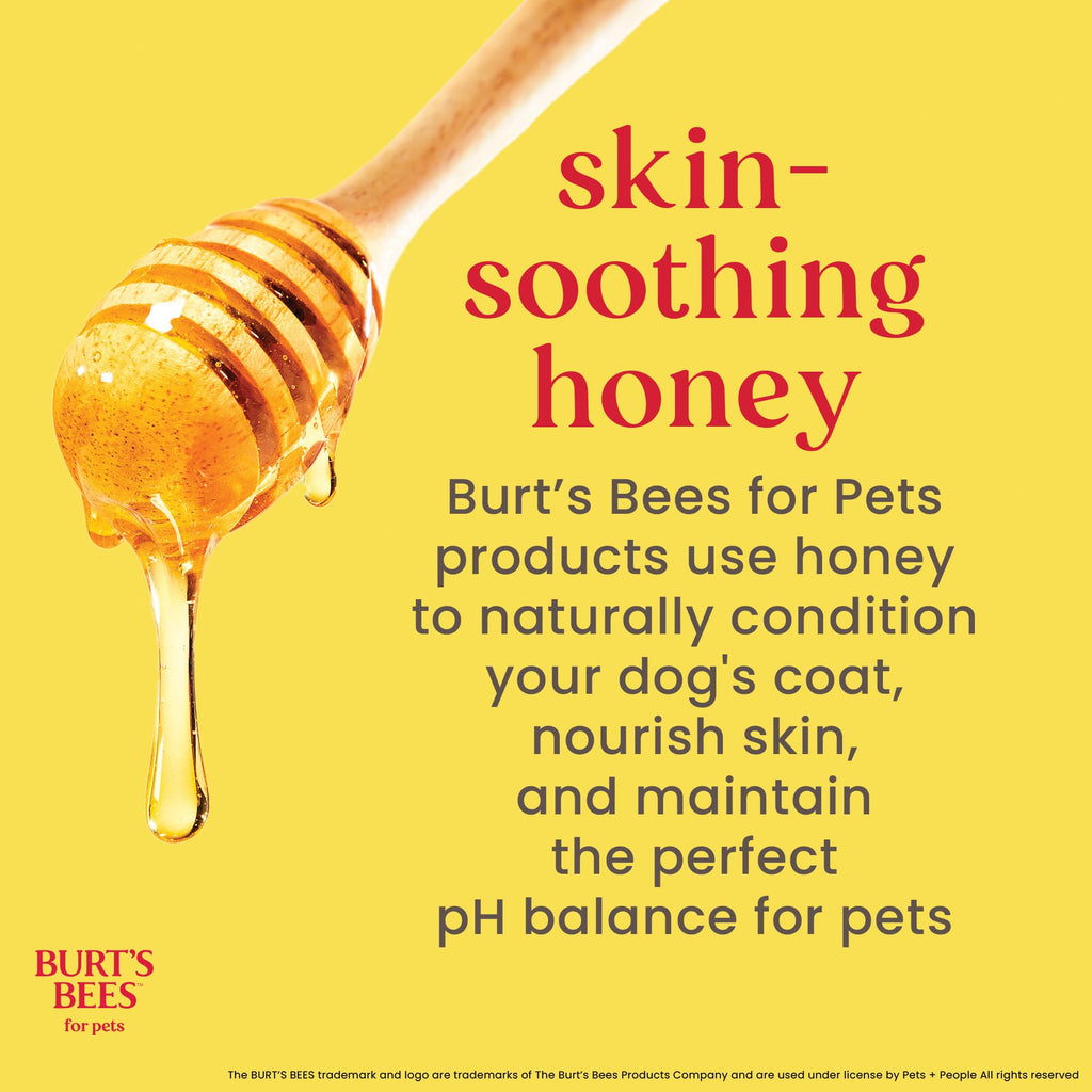 Hypoallergenic Dog Shampoo Shea Butter Honey 16 Fl Oz W7374