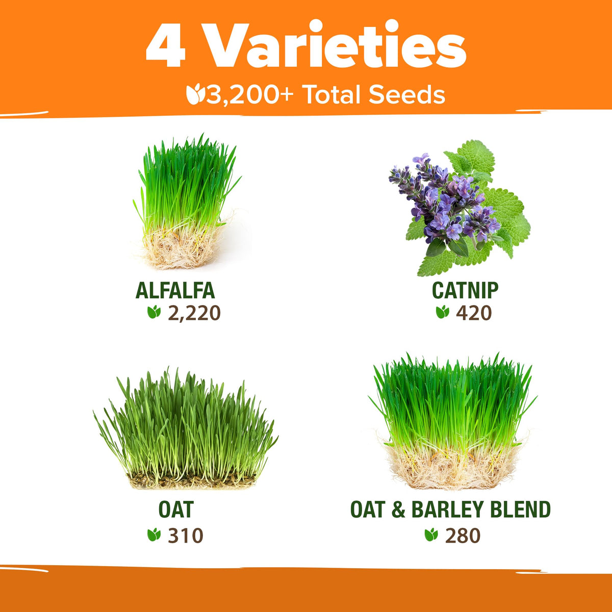 Indoor Cat Grass Refill 3,200+ Seeds W10856