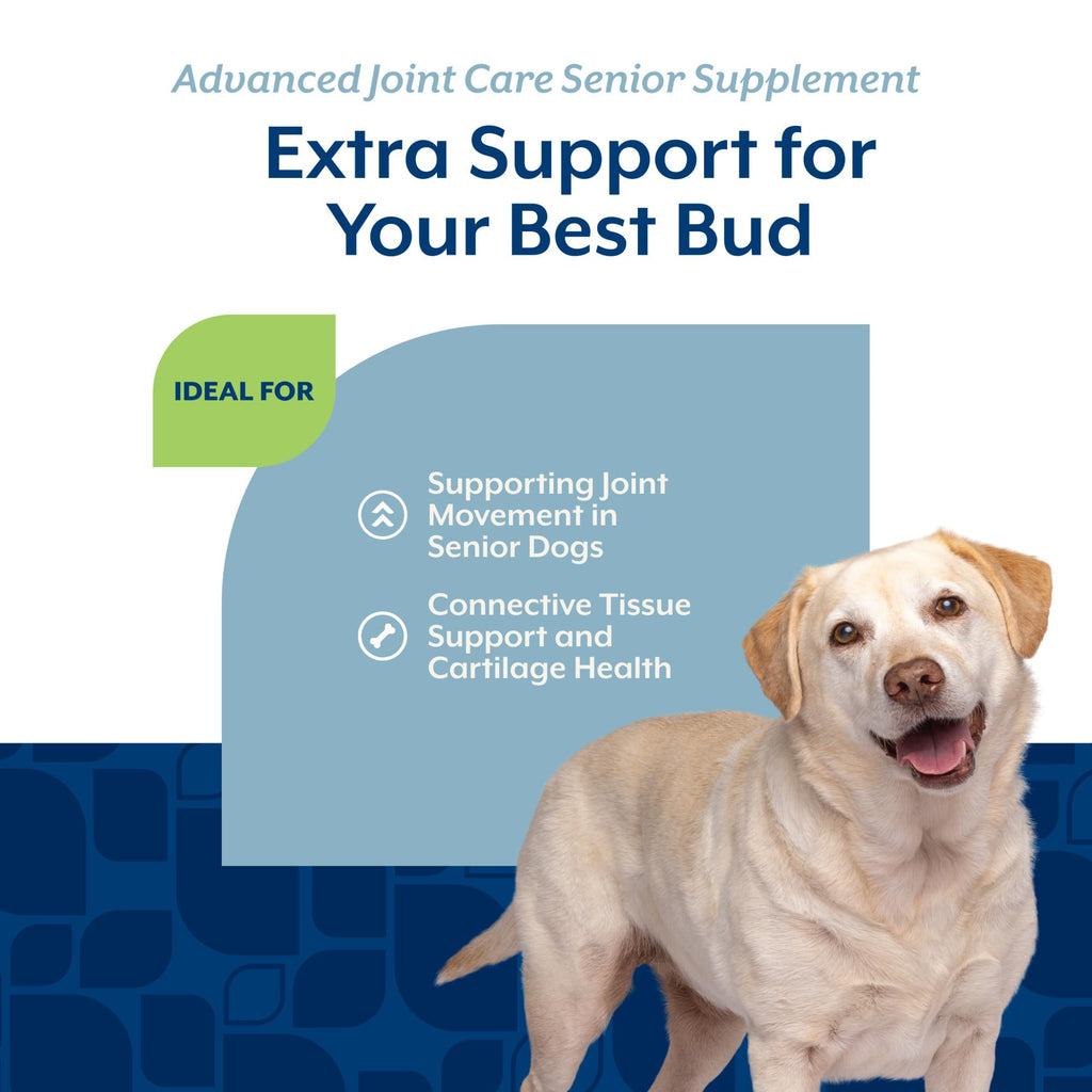 Senior Advanced Joint Health Dog Supplement 120 Ct Z73950