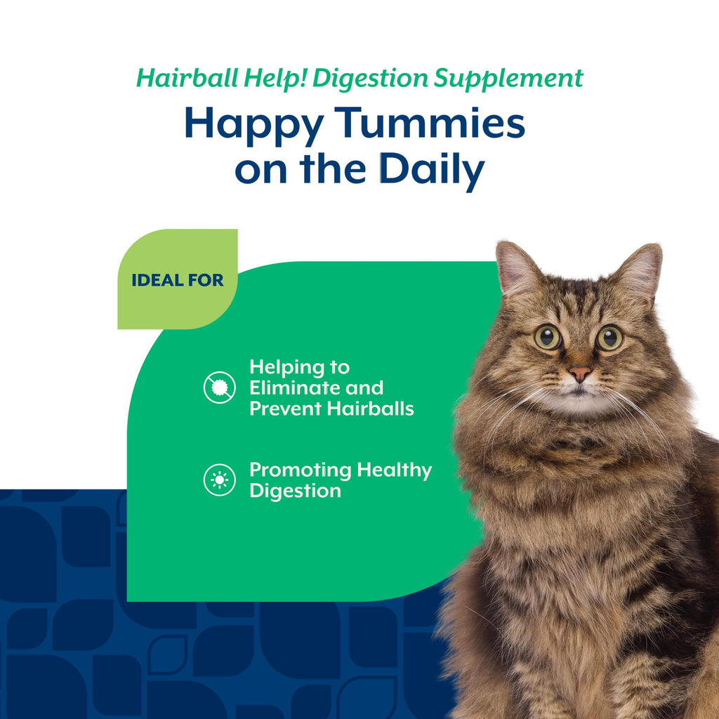 Hairball Aid Scoopable Supplement for Cats 5.5oz Z18953