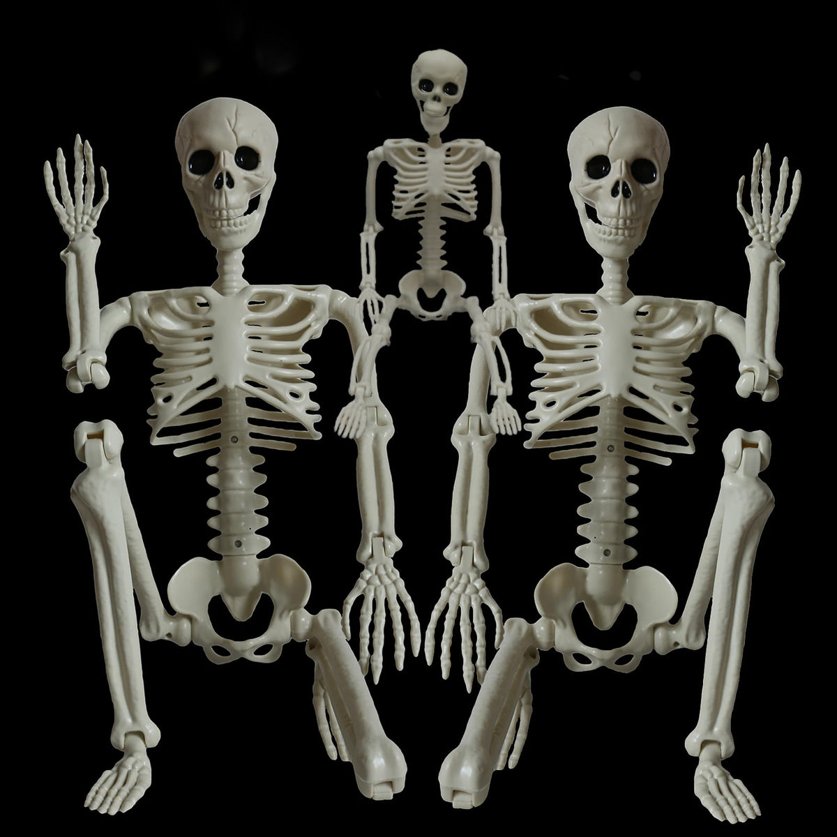 2Pcs 36" 1Pcs 16" Posable Plastic Skeleton I37545