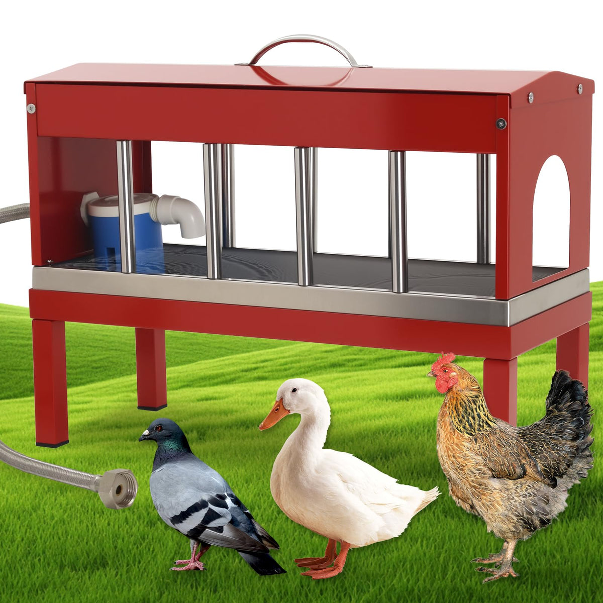 Automatic Stainless Steel Poultry Waterer Dispenser O434