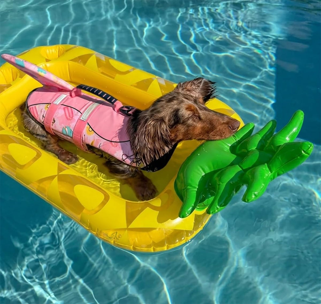Inflatable Pineapple Drink Holder W586