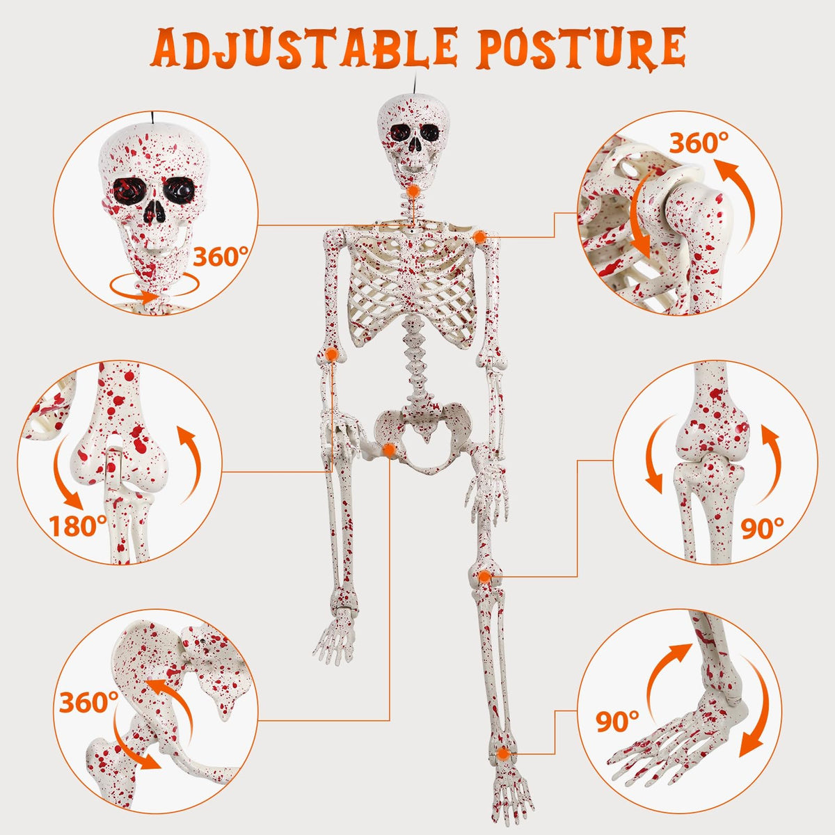 Life Size Posable Skeleton T87154