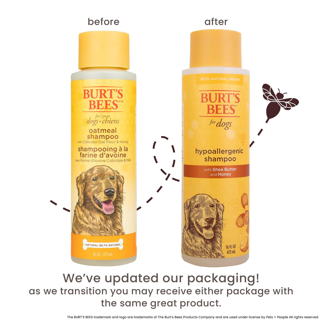 Hypoallergenic Dog Shampoo Shea Butter Honey 16 Fl Oz W7374