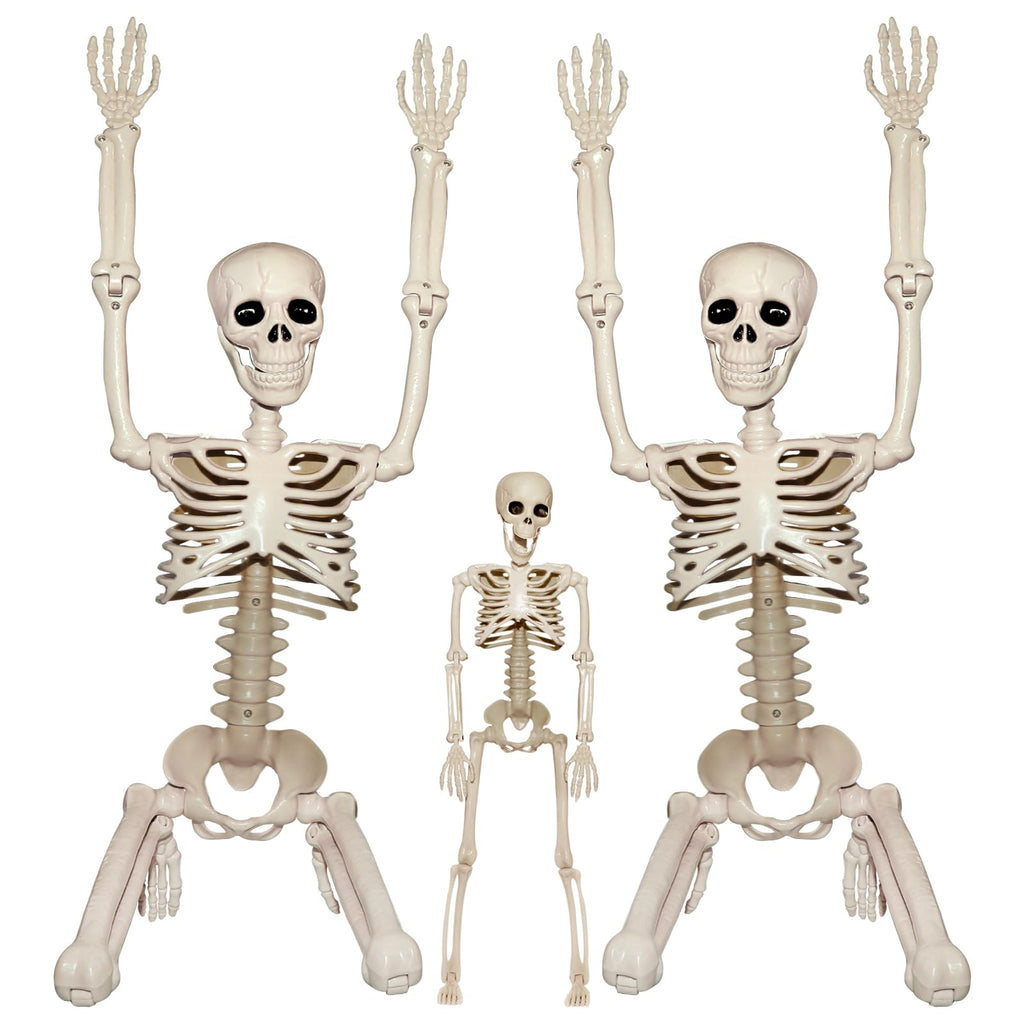 2Pcs 36" 1Pcs 16" Posable Plastic Skeleton I37545