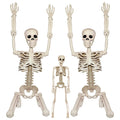 2Pcs 36" 1Pcs 16" Posable Plastic Skeleton I37545