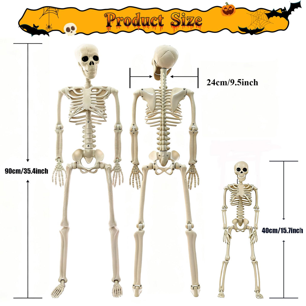 2Pcs 36" 1Pcs 16" Posable Plastic Skeleton I37545
