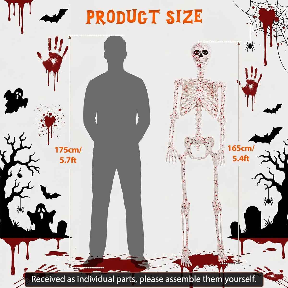 Life Size Posable Skeleton T87154