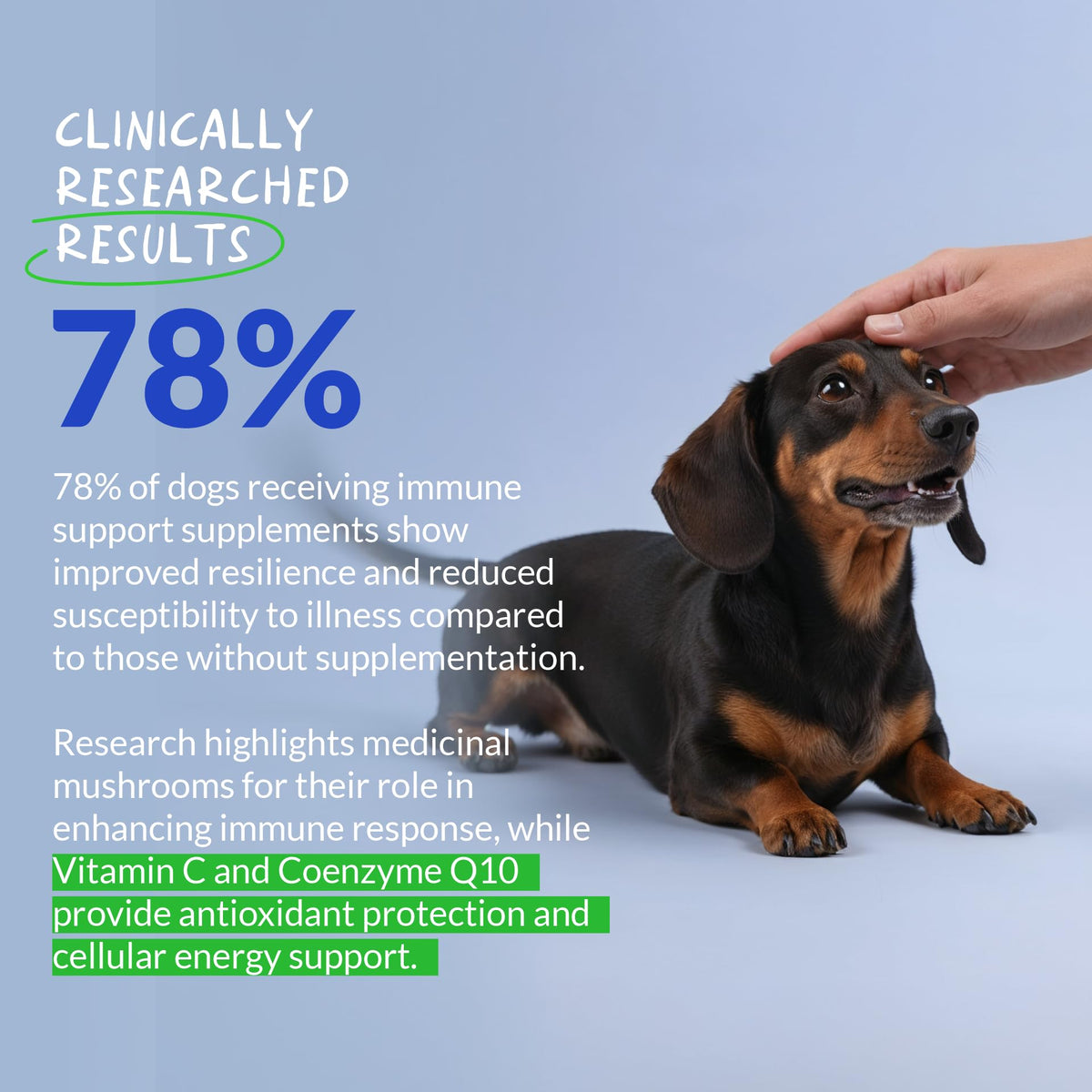 Turkey Tail Mushroom Supplement for Dogs, 120 ct E228