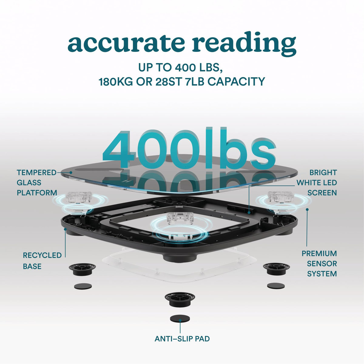 Digital Smart Scale Black Y305847