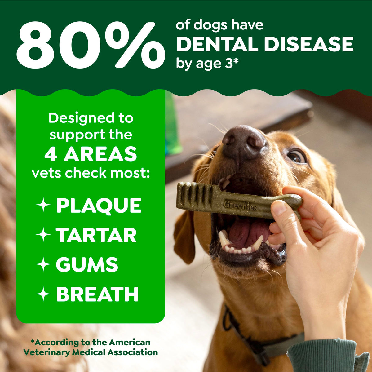 Large Dental Dog Treats 24 Count K290