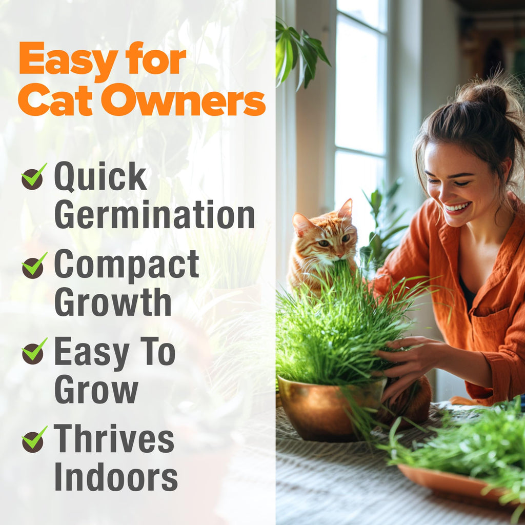 Indoor Cat Grass Refill 3,200+ Seeds W10856