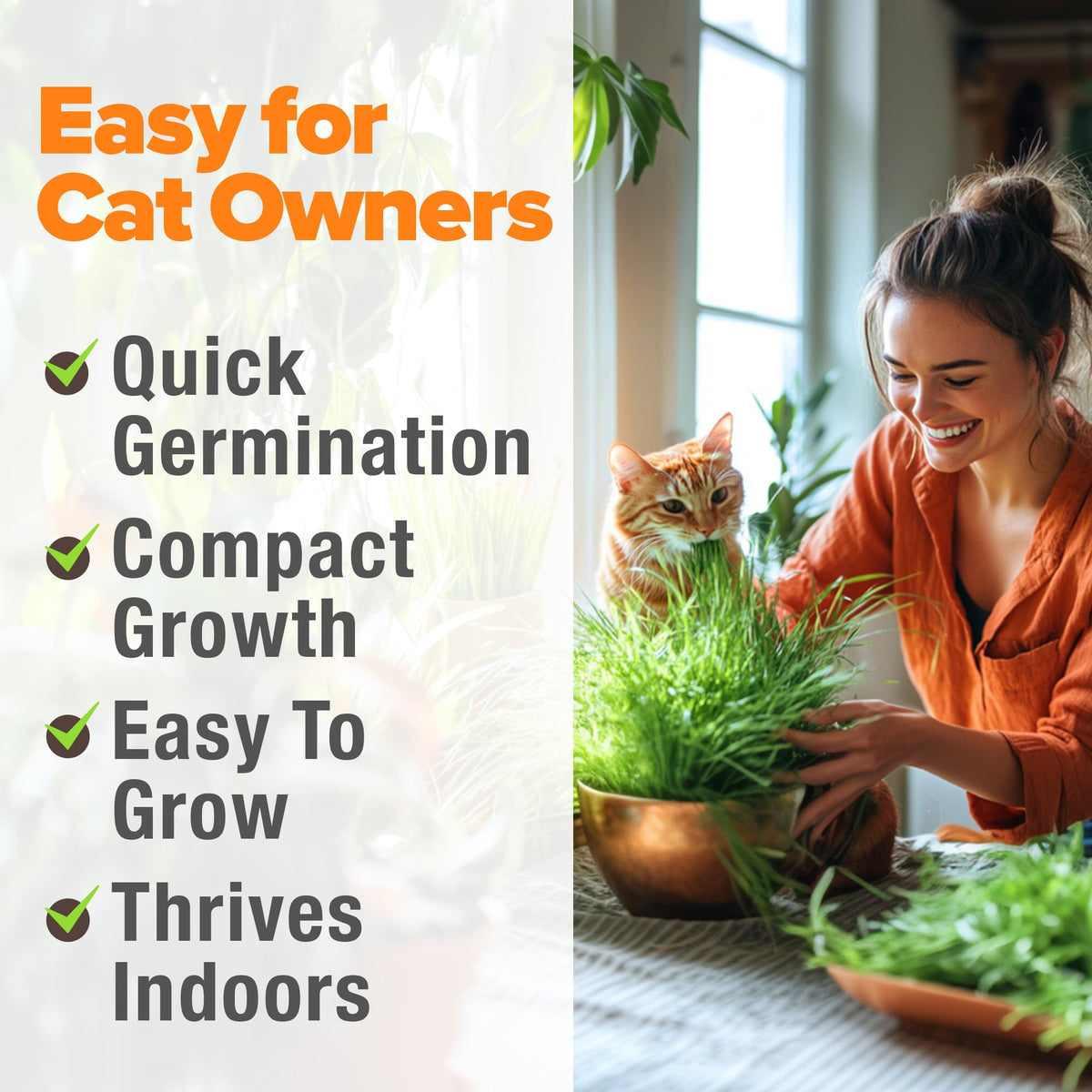 Indoor Cat Grass Refill 3,200+ Seeds W10856