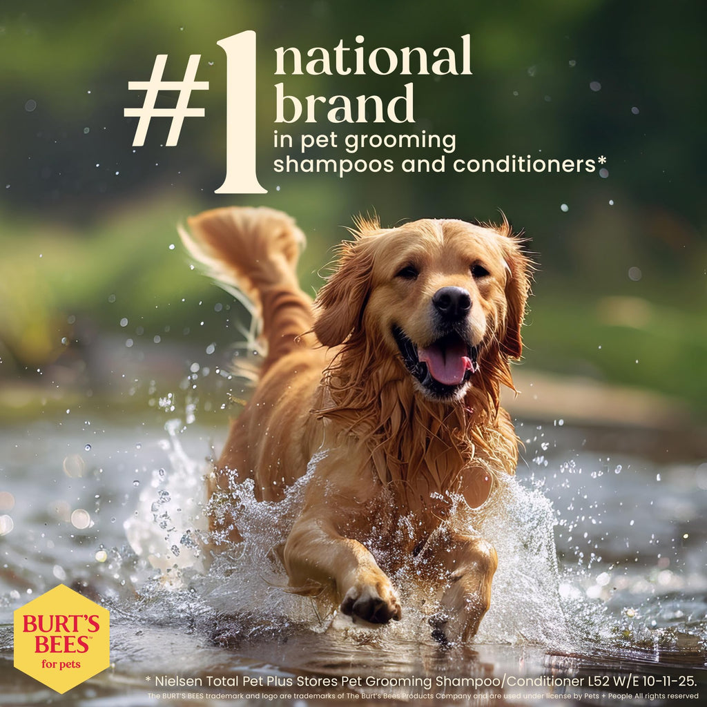 Hypoallergenic Dog Shampoo Shea Butter Honey 16 Fl Oz W7374
