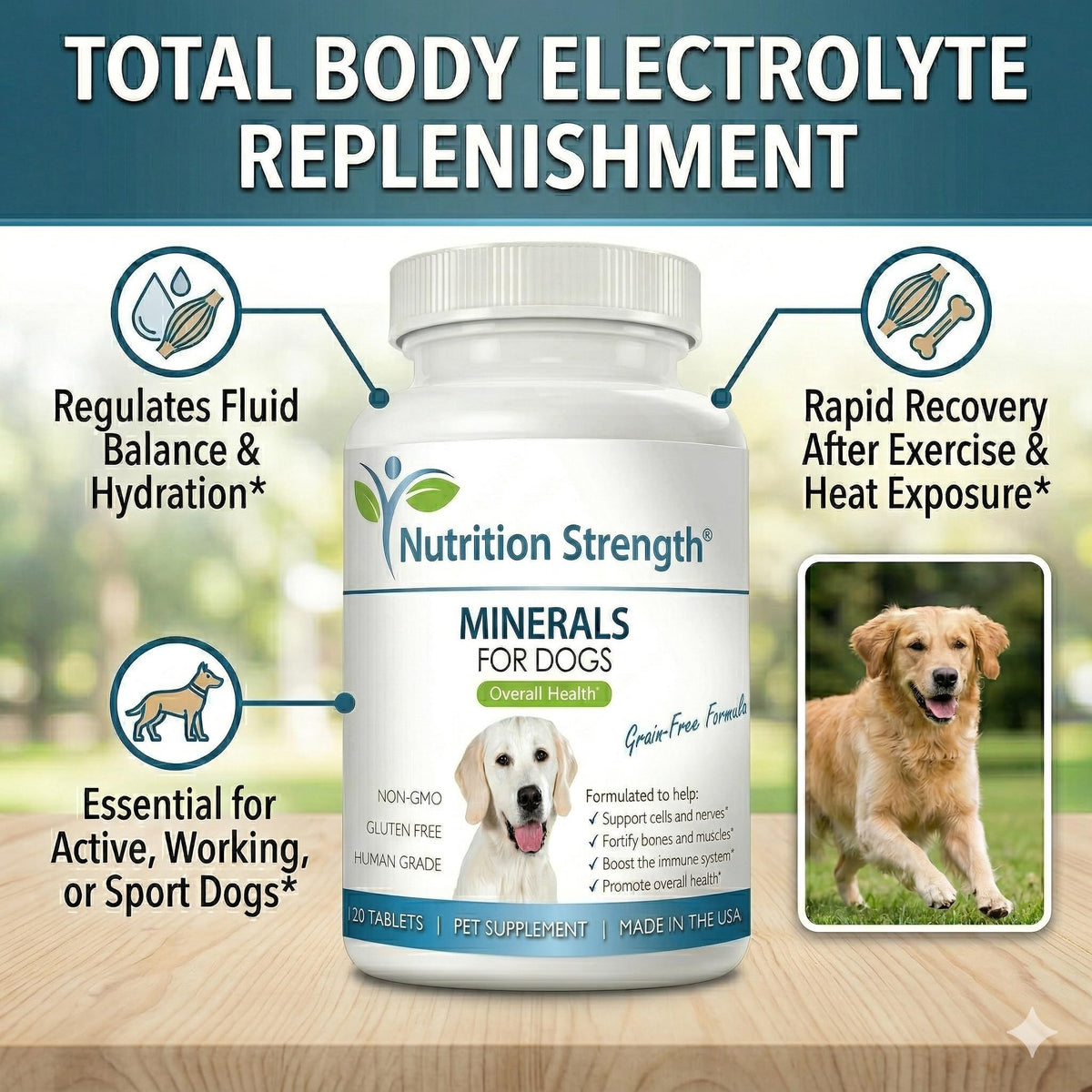 Dog Minerals & Electrolytes 120 Tablets X21357
