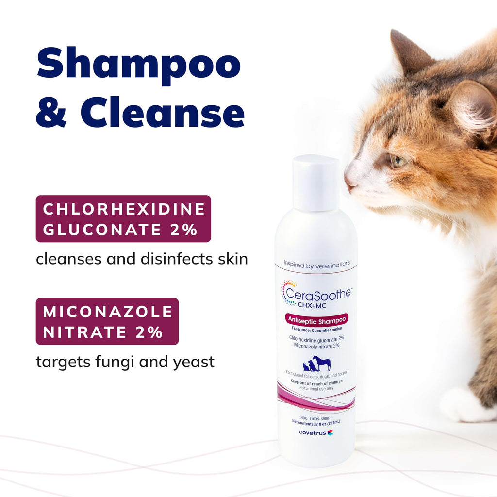 Chlorhexidine & Miconazole Antiseptic Shampoo 16 oz I44931