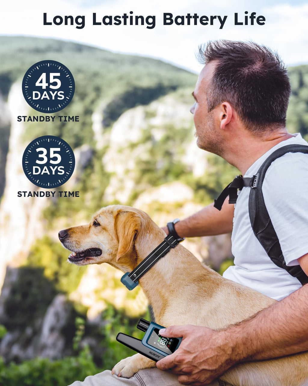 Dog Shock Collar with Remote S972
