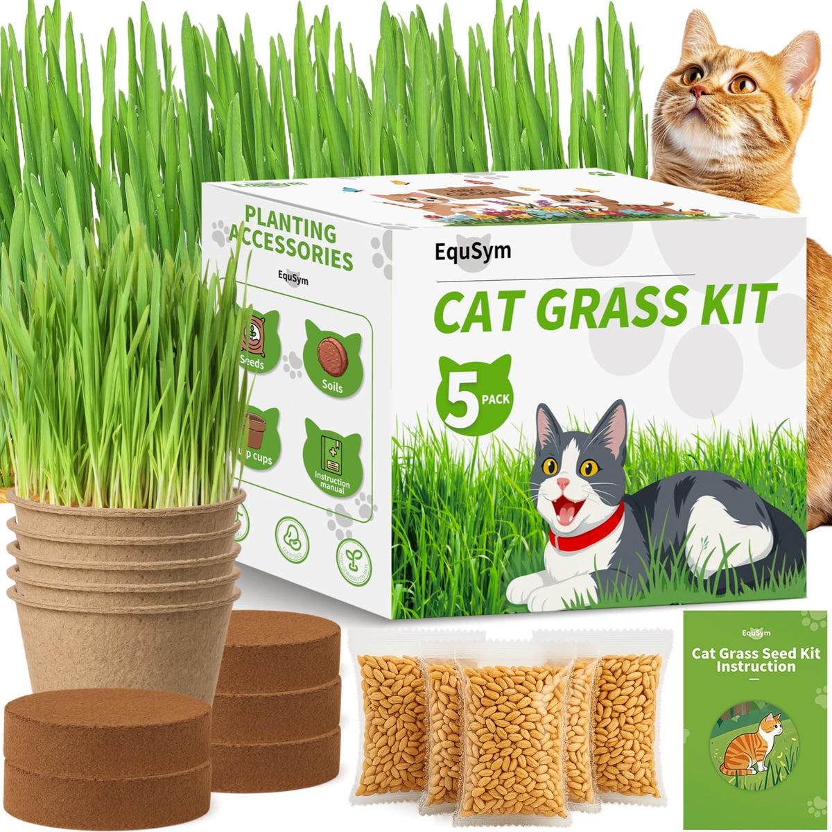 Cat Grass Growing Kit Z2745