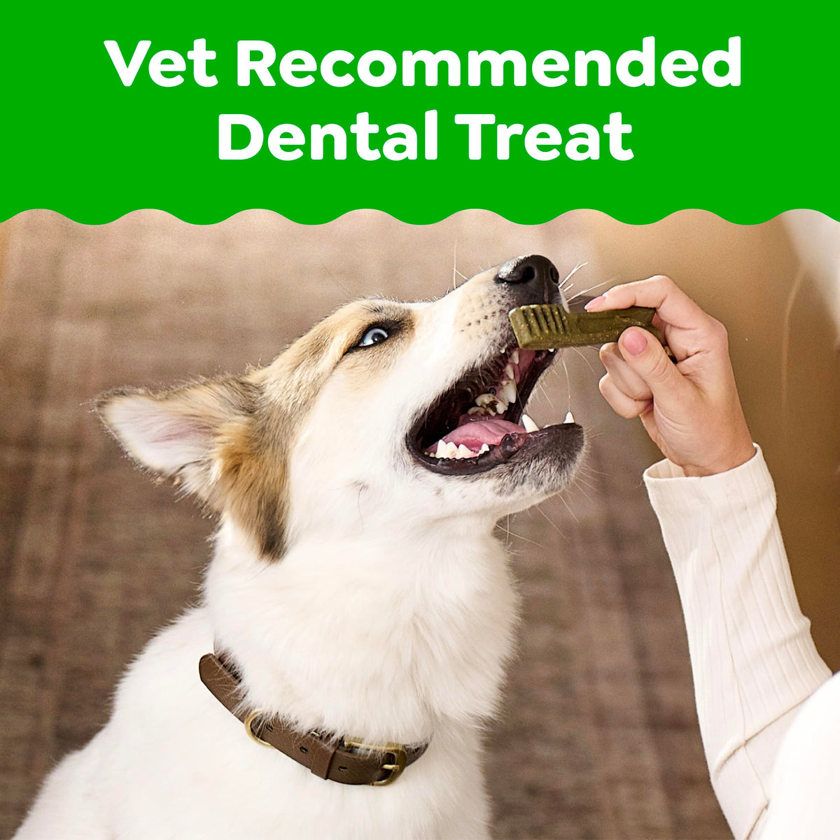 Large Dental Dog Treats 24 Count K290