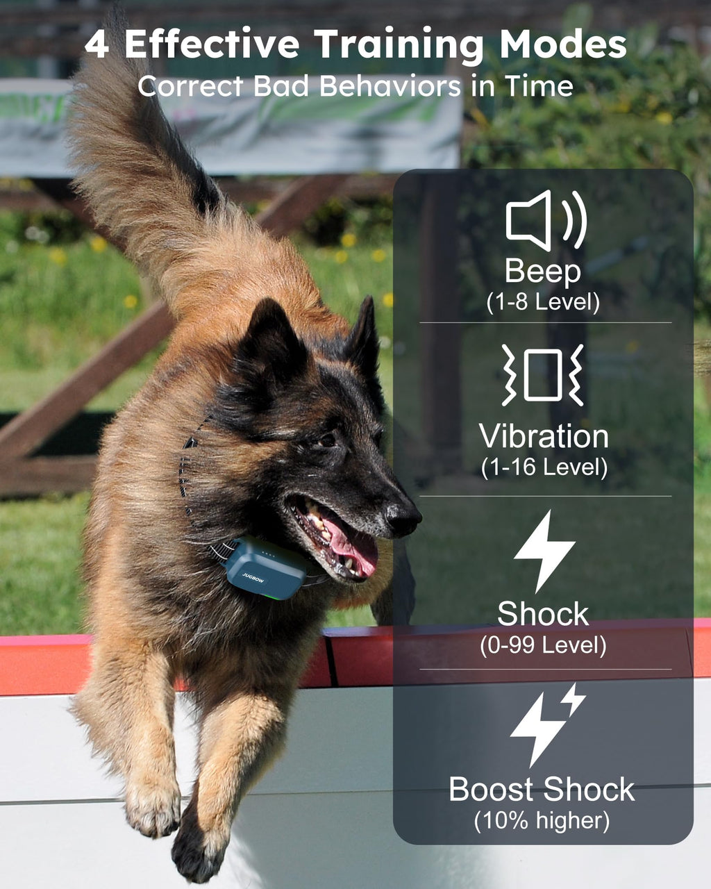 Dog Shock Collar with Remote S972