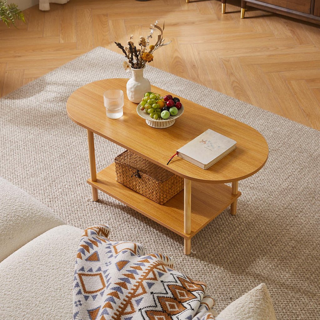 Wooden 2 Tier Coffee Table with Storage Shelf Z64564