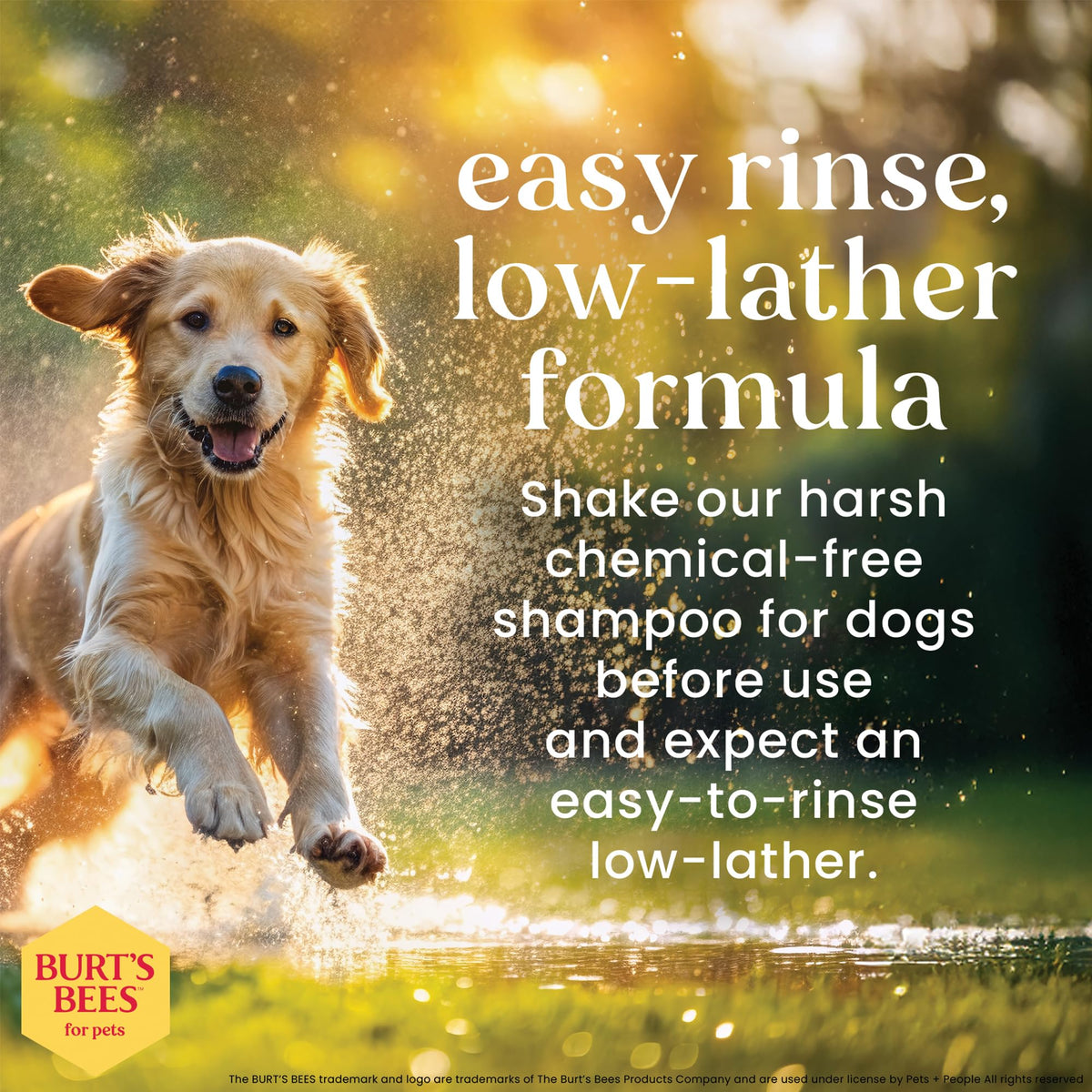 Hypoallergenic Dog Shampoo Shea Butter Honey 16 Fl Oz W7374