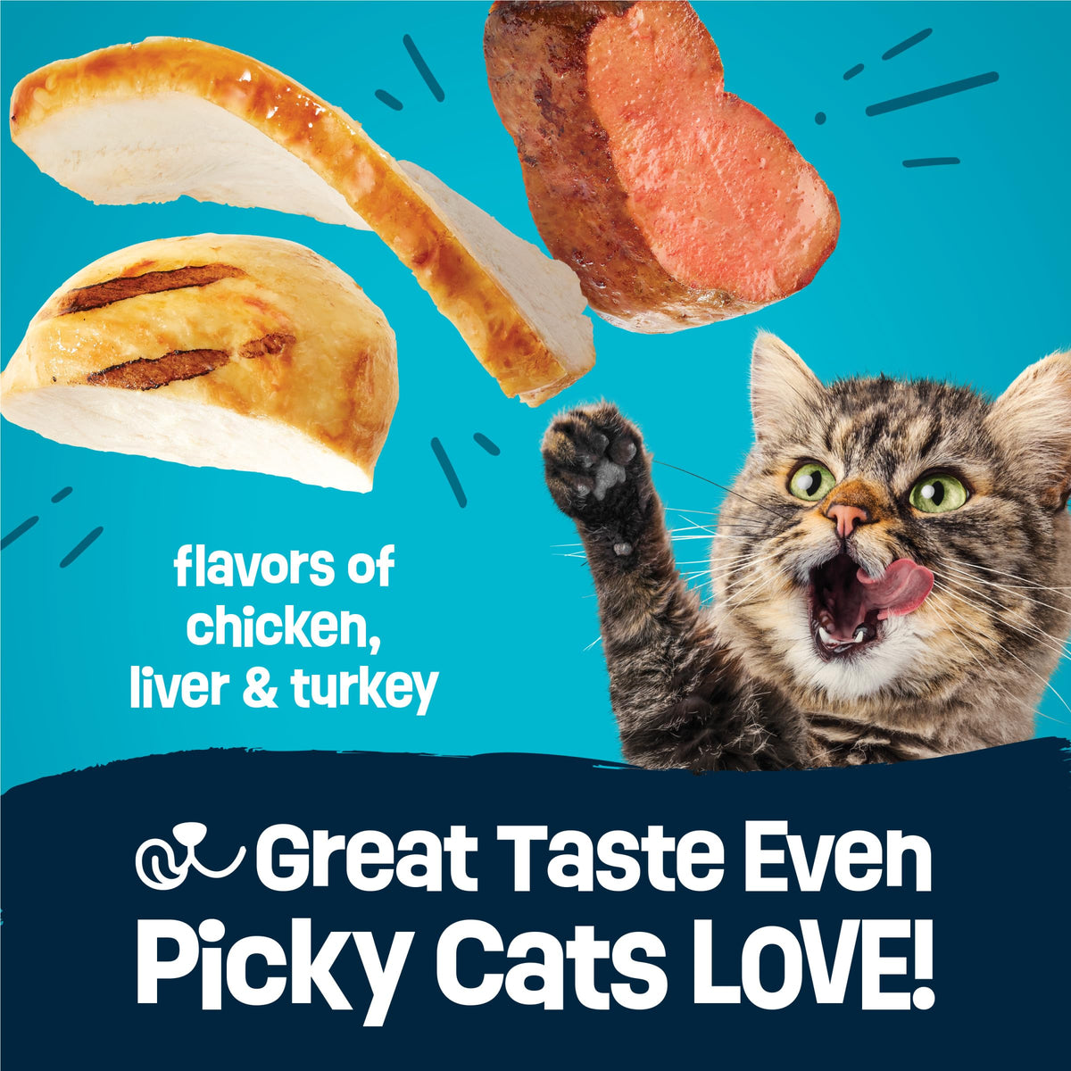 Dry Cat Food 15 lb. Bag I685889