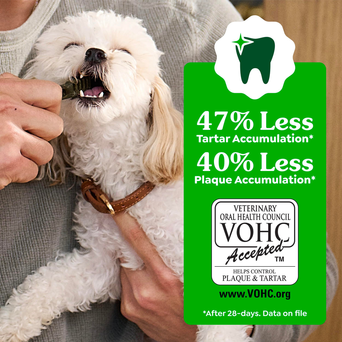 Large Dental Dog Treats 24 Count K290