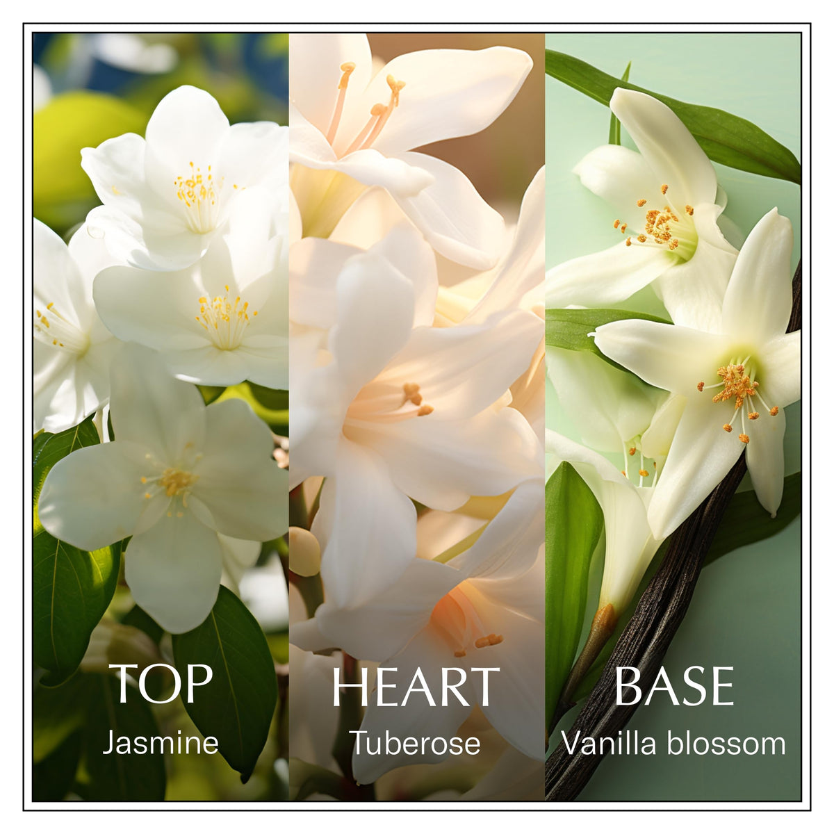Jasmine Eau de Toilette 3.4 fl oz A285
