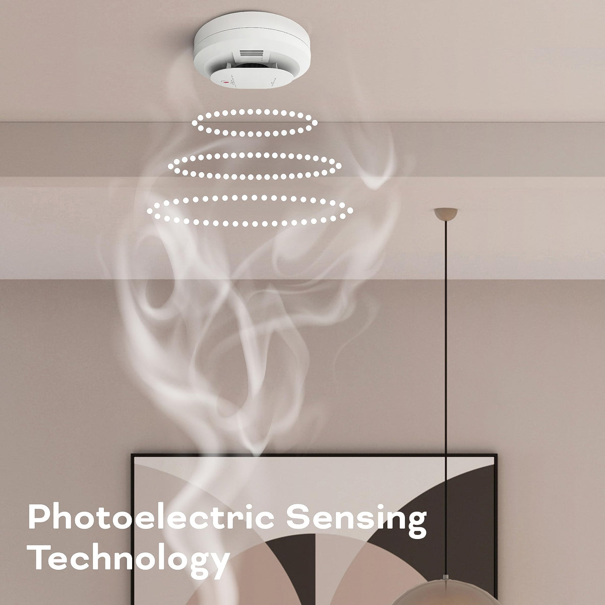 Hardwired Smoke & Carbon Monoxide Detector E63472