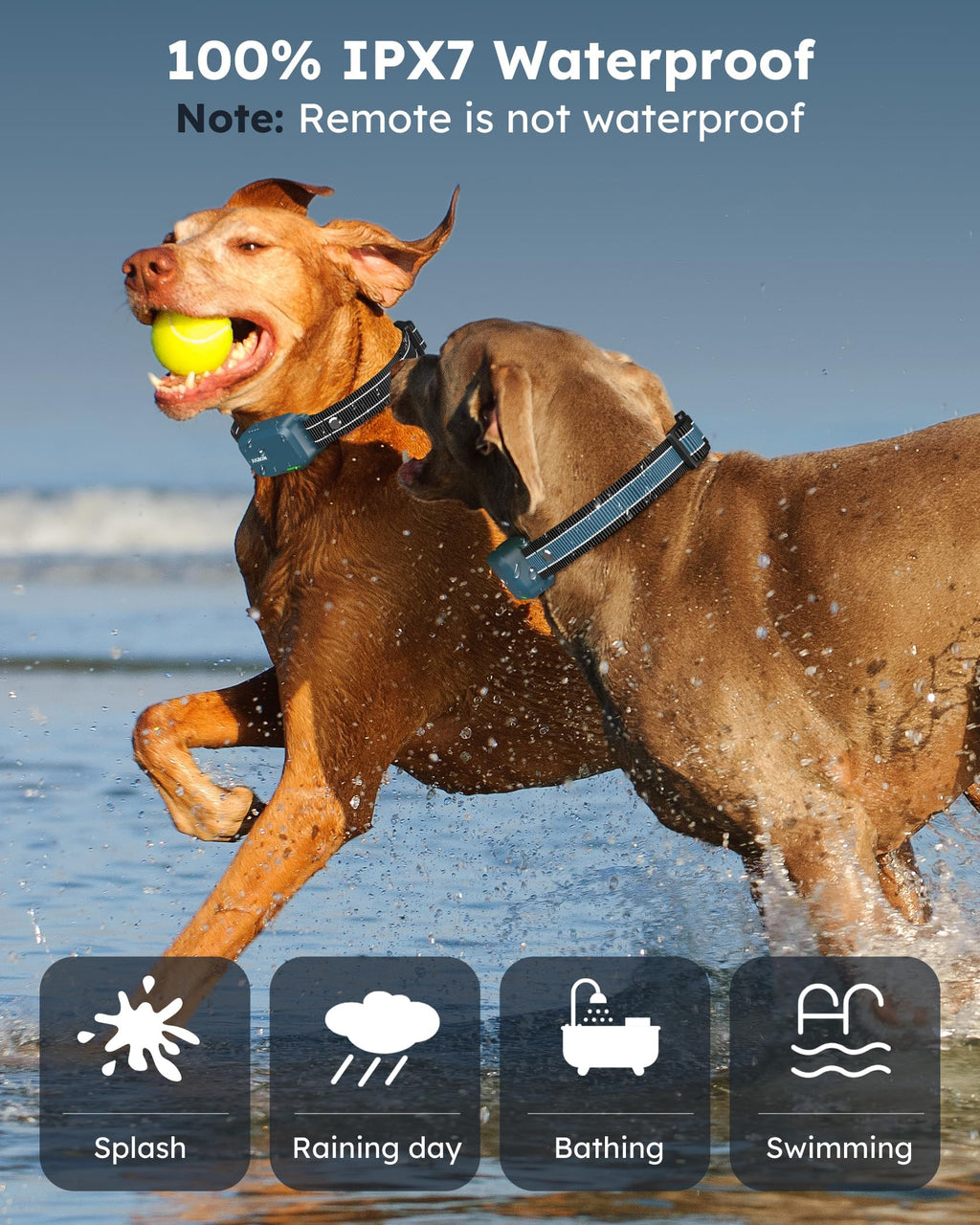 Dog Shock Collar with Remote S972