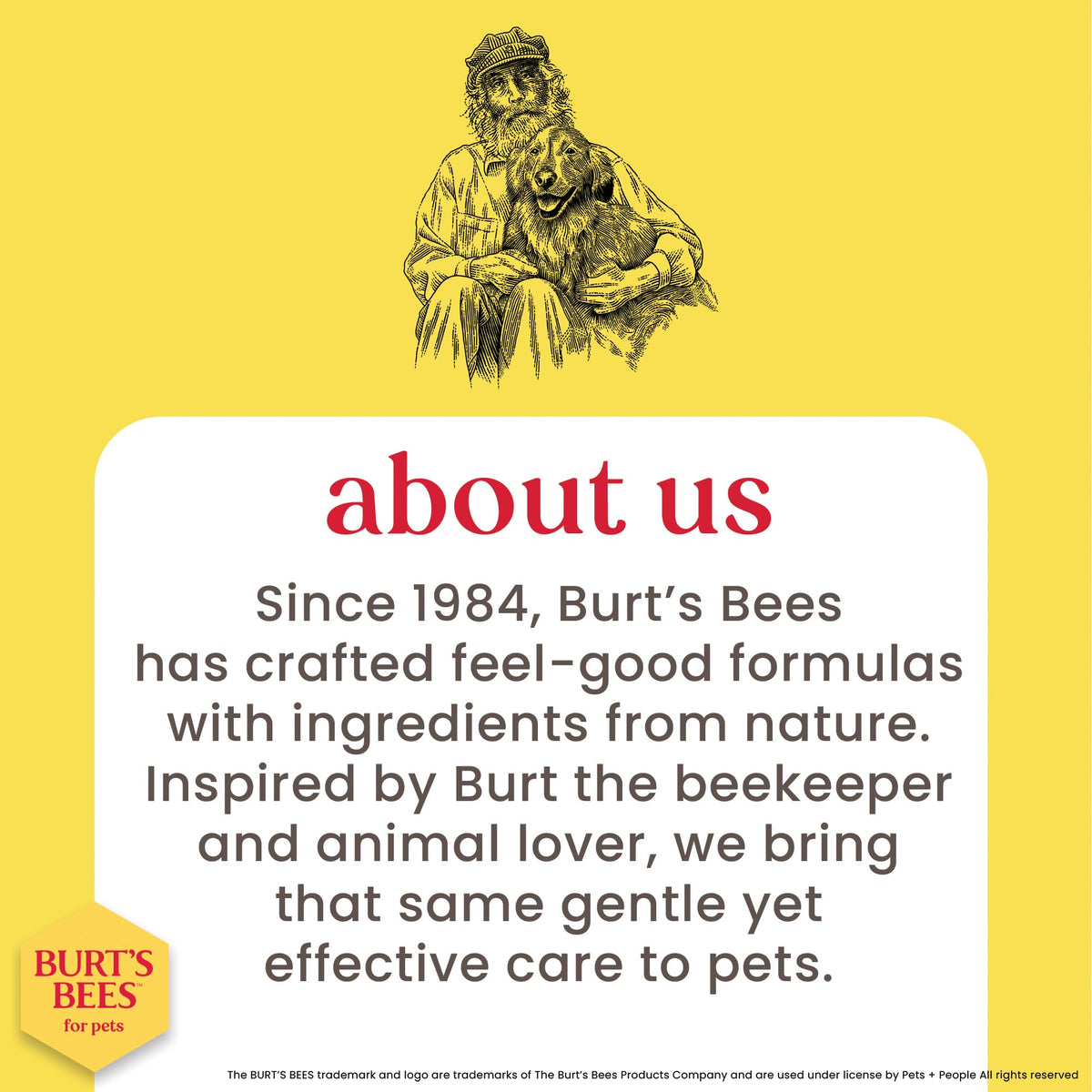 Hypoallergenic Dog Shampoo Shea Butter Honey 16 Fl Oz W7374