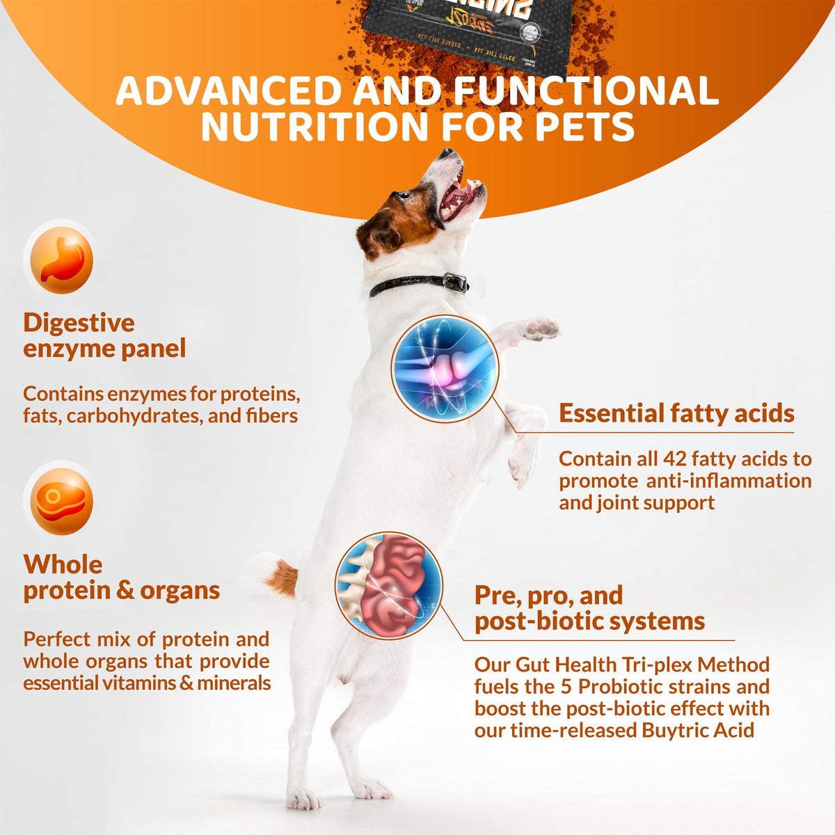 5-in-1 Dog Supplement Powdered Food Topper with Omega 3 Fish Oil 5 lbs R606
