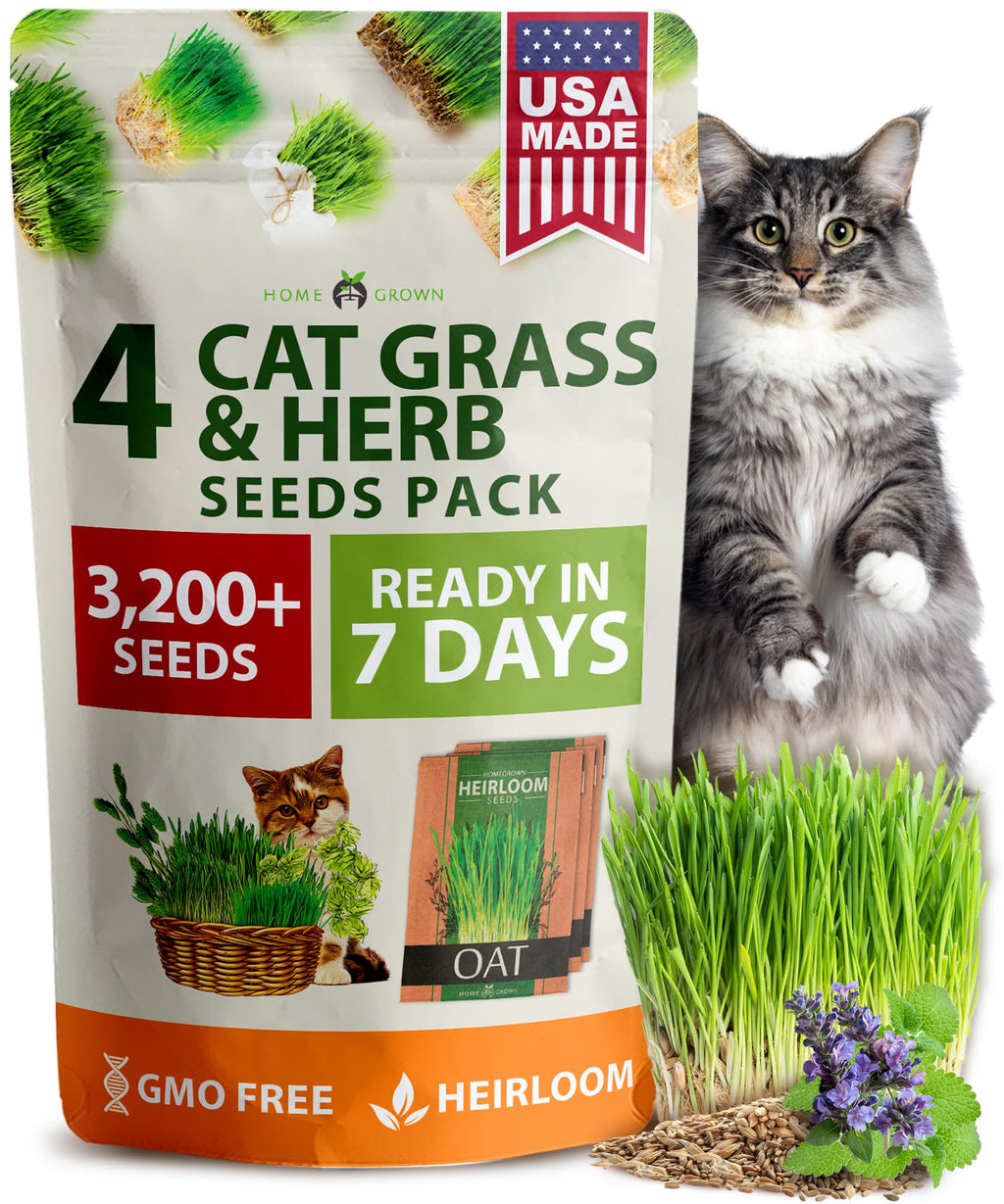 Indoor Cat Grass Refill 3,200+ Seeds W10856