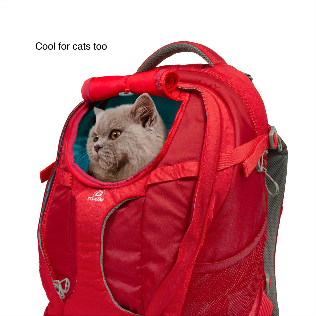 Black Pet Carrier Backpack X31599