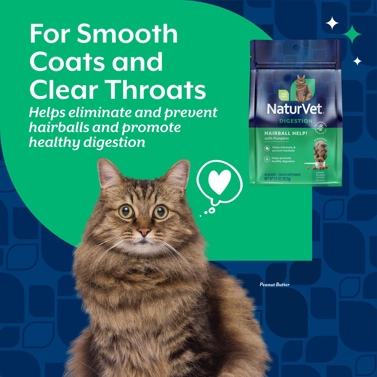 Hairball Aid Scoopable Supplement for Cats 5.5oz Z18953
