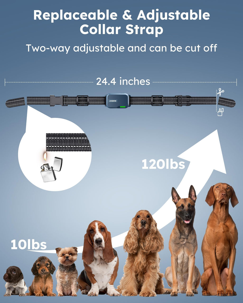 Dog Shock Collar with Remote S972