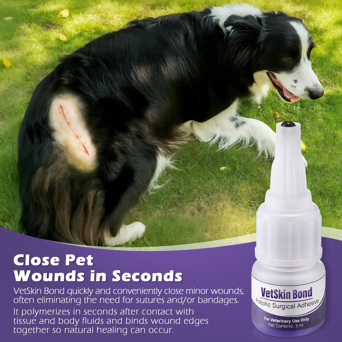 3ml Veterinary Surgical Skin Glue with 10 Applicators Z5511