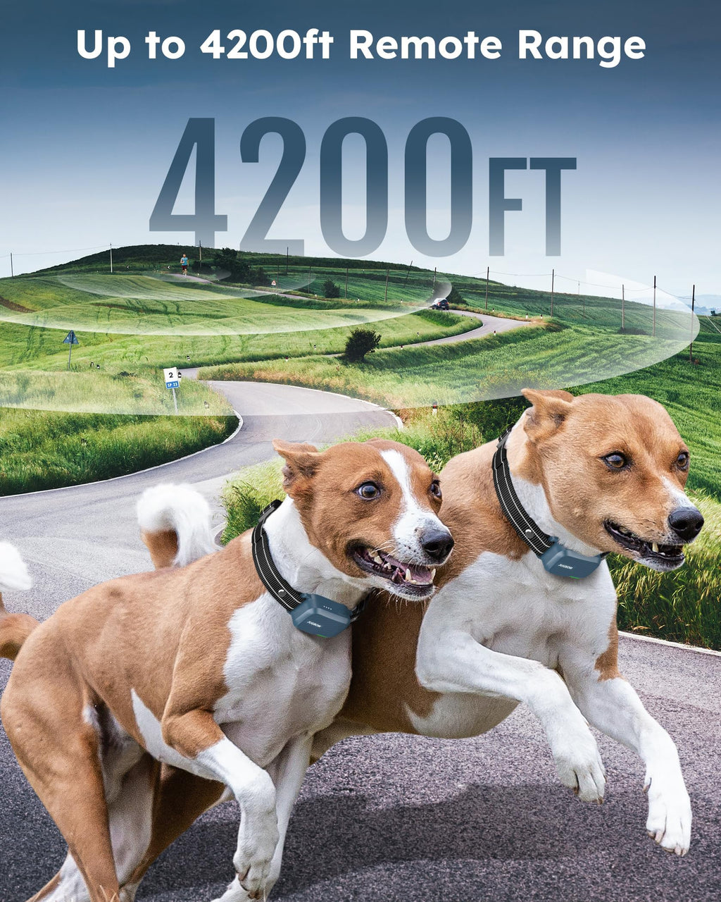 Dog Shock Collar with Remote S972